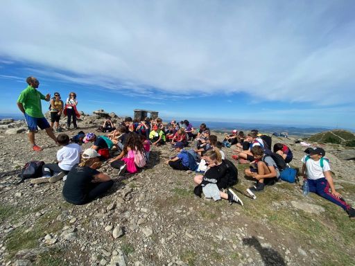 resized_IMG-20230929-WA0045 resized_IMG-20230929-WA0045