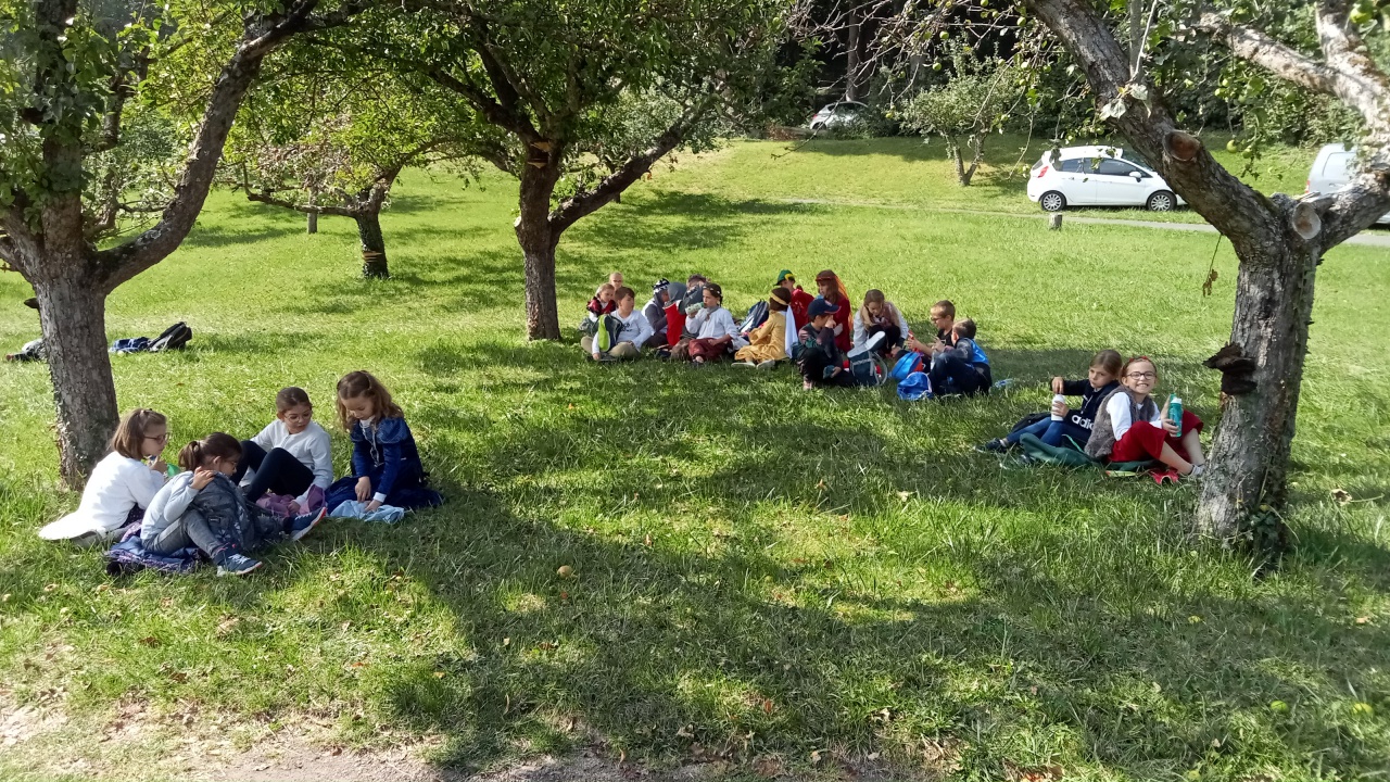 IMG-20240919-WA0001 IMG-20240919-WA0001