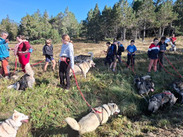 IMG-20240927-WA0009 IMG-20240927-WA0009