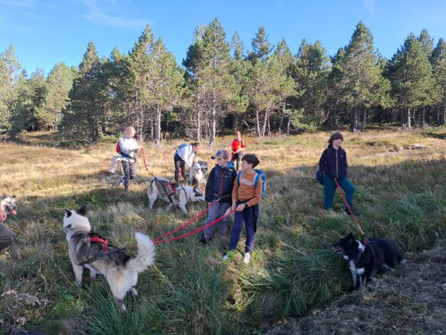 IMG-20240927-WA0011 IMG-20240927-WA0011