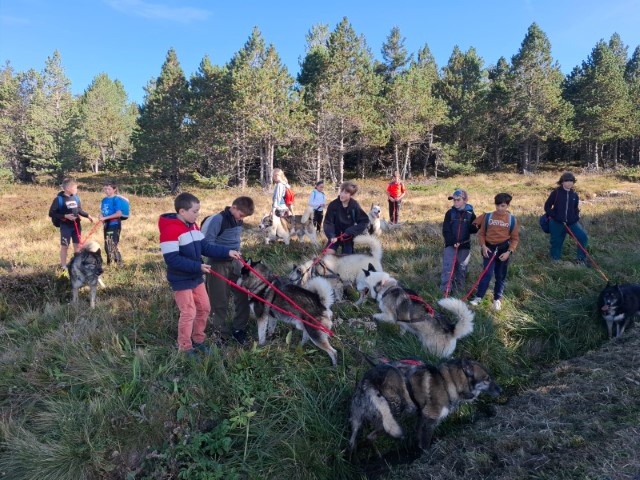 IMG-20240927-WA0012 IMG-20240927-WA0012