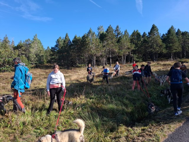 IMG-20240927-WA0013 IMG-20240927-WA0013