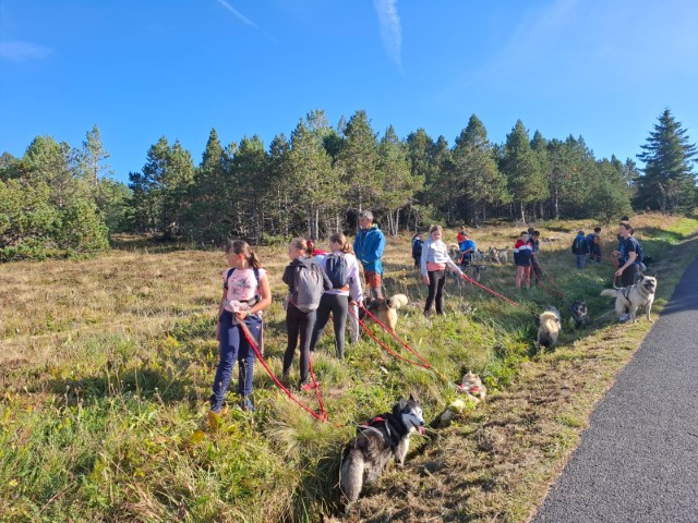 IMG-20240927-WA0014 IMG-20240927-WA0014