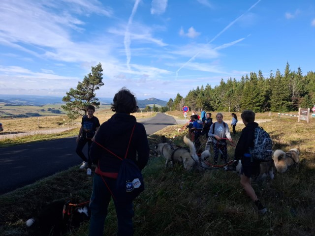 IMG-20240927-WA0016 IMG-20240927-WA0016