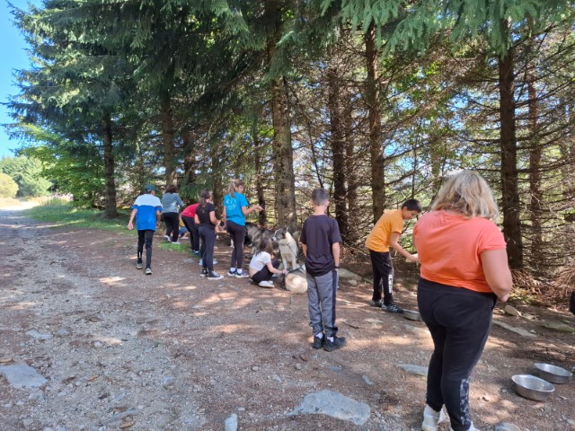 IMG-20240927-WA0027 IMG-20240927-WA0027