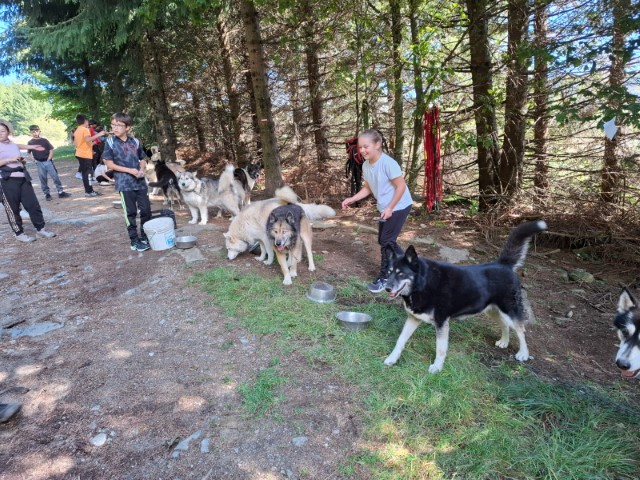 IMG-20240927-WA0028 IMG-20240927-WA0028