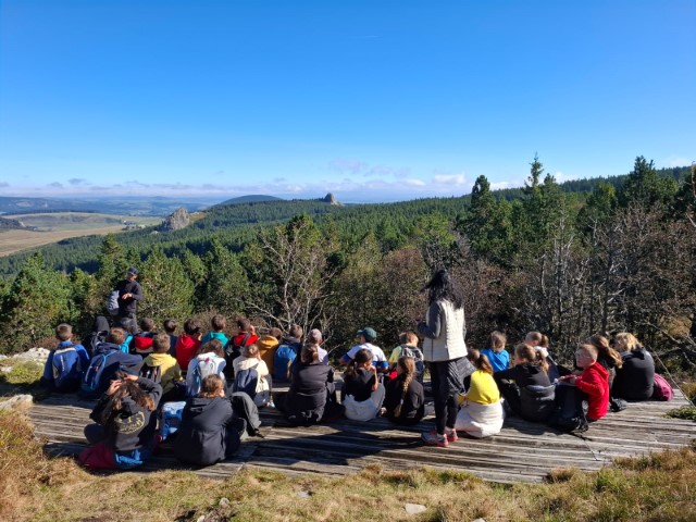 IMG-20240927-WA0039 IMG-20240927-WA0039