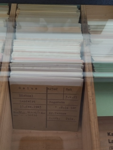 PHOTO-2025-03-20-11-21-06 PHOTO-2025-03-20-11-21-06