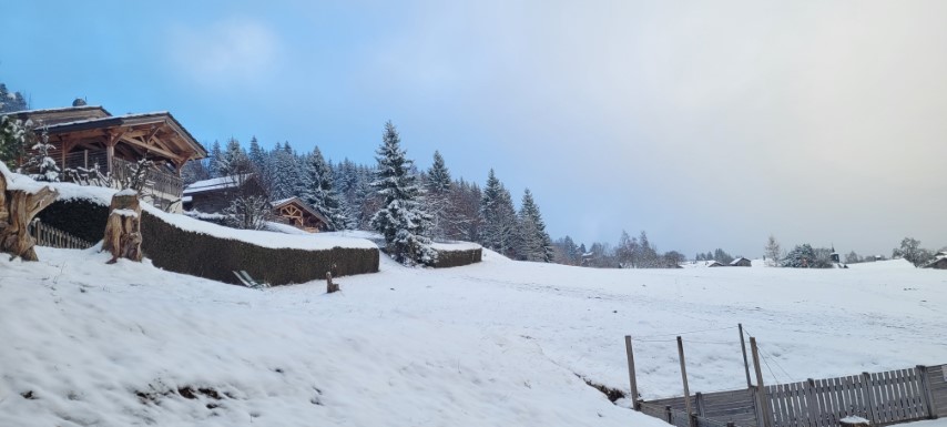 20250317_075342 20250317_075342