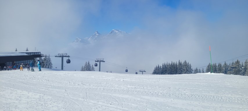 20250317_100335 20250317_100335