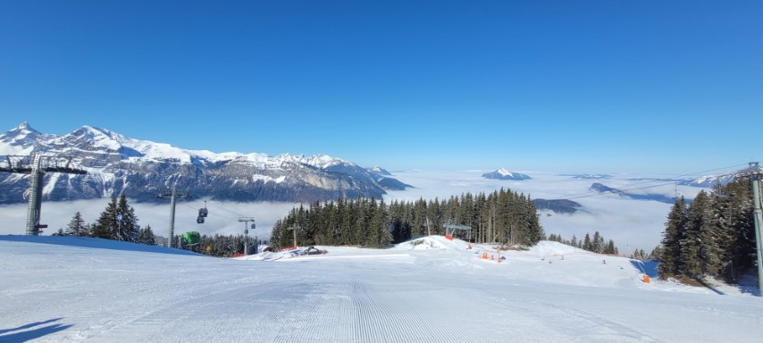 20250318_094426 20250318_094426