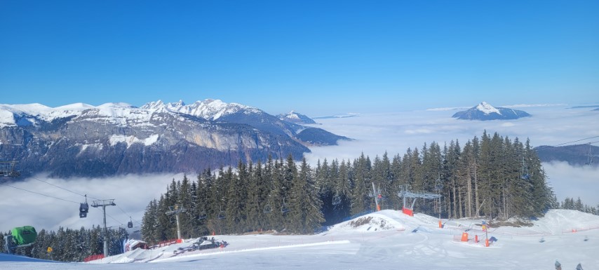 20250318_094435 20250318_094435