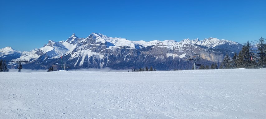 20250318_095508 20250318_095508