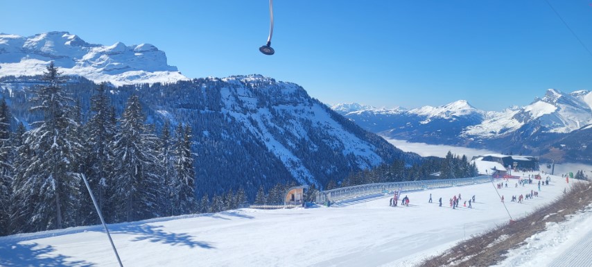 20250318_101339 20250318_101339