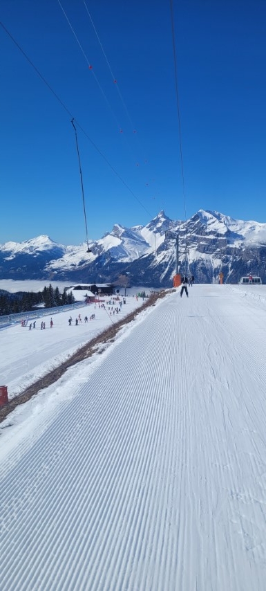 20250318_101350 20250318_101350