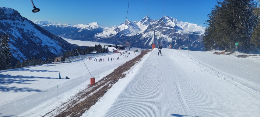 20250318_101355 20250318_101355