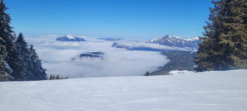 20250318_102544 20250318_102544