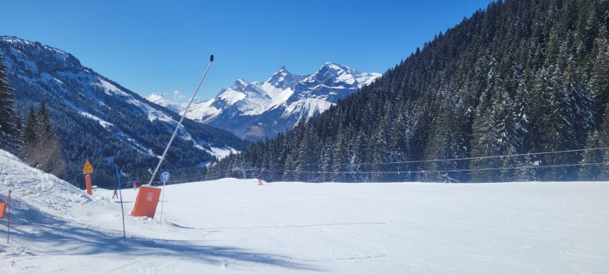 20250318_115554 20250318_115554