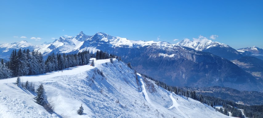 20250318_124015 20250318_124015