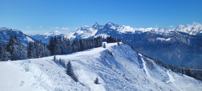 20250318_124018 20250318_124018