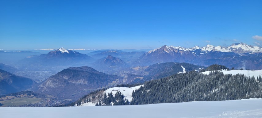 20250318_124537 20250318_124537