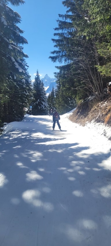 20250318_135837 20250318_135837