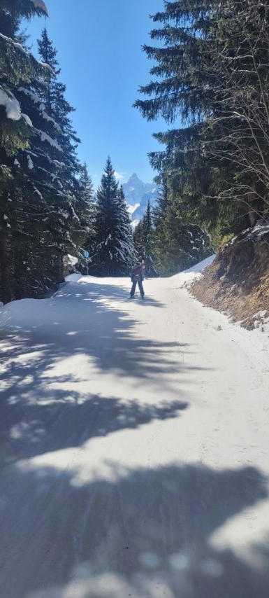 20250318_135839 20250318_135839