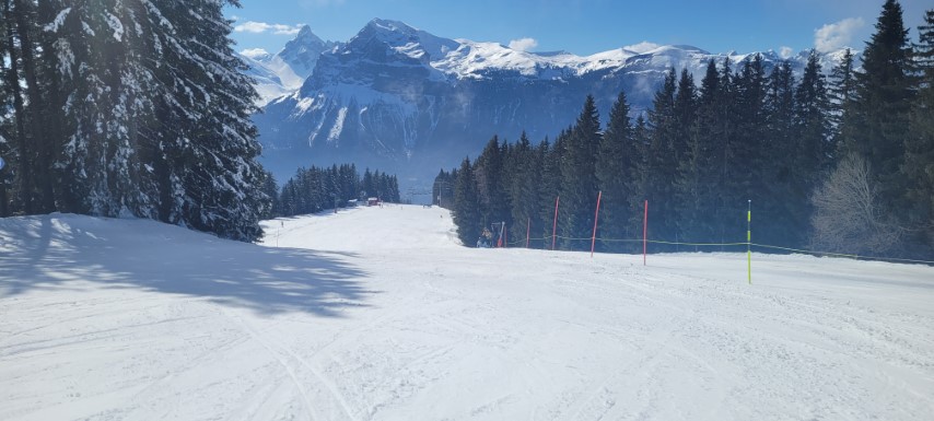 20250318_140442 20250318_140442