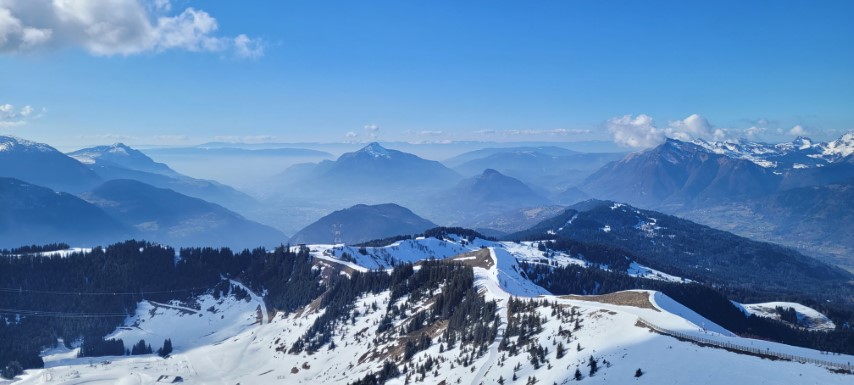 20250318_153735 20250318_153735