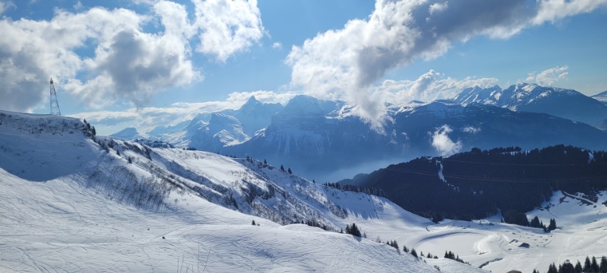 20250318_154355 20250318_154355