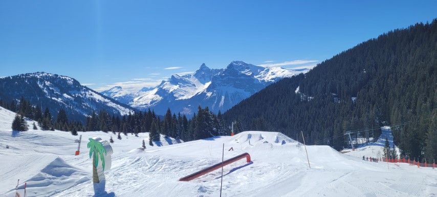 20250319_141146 20250319_141146