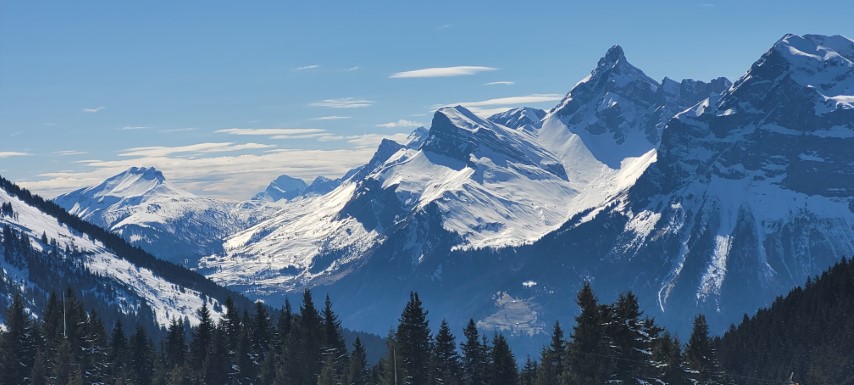 20250319_141153 20250319_141153