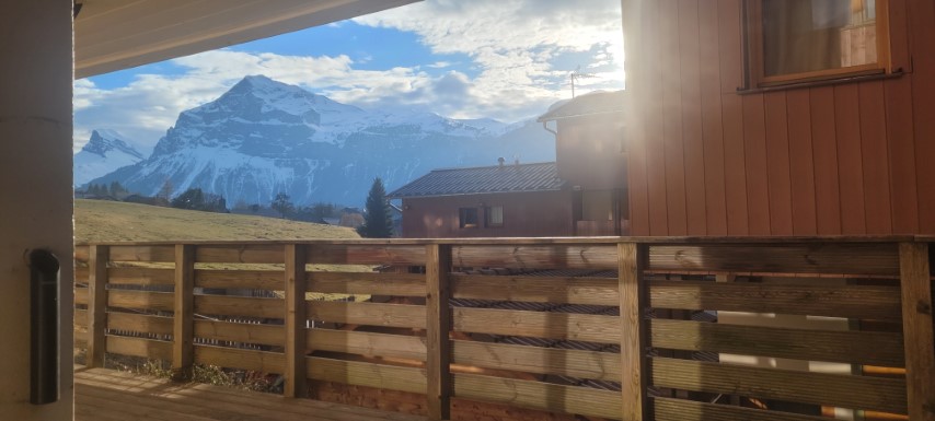 20250319_172730 20250319_172730