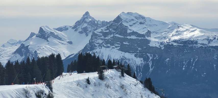 20250320_155113 20250320_155113