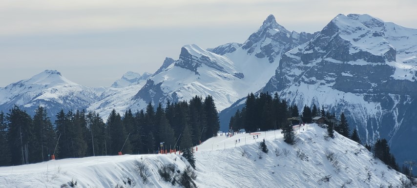 20250320_155234 20250320_155234