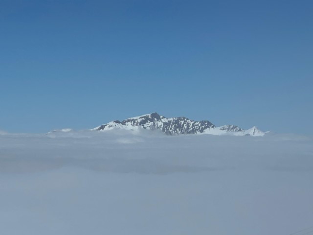 IMG-20250317-WA0031 IMG-20250317-WA0031