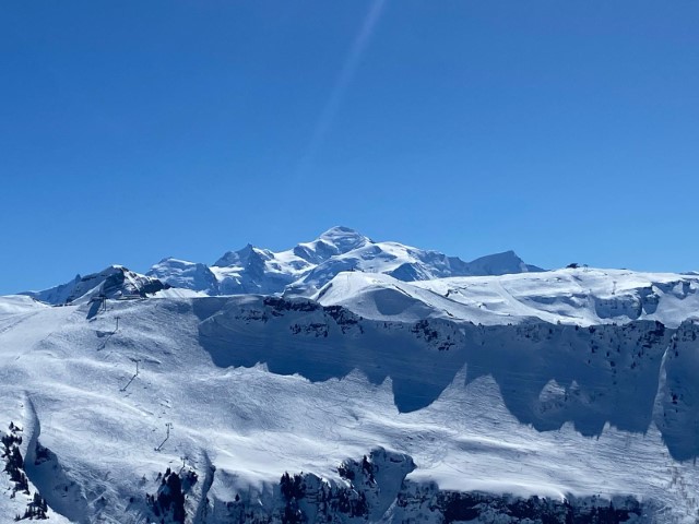 IMG-20250320-WA0020 IMG-20250320-WA0020