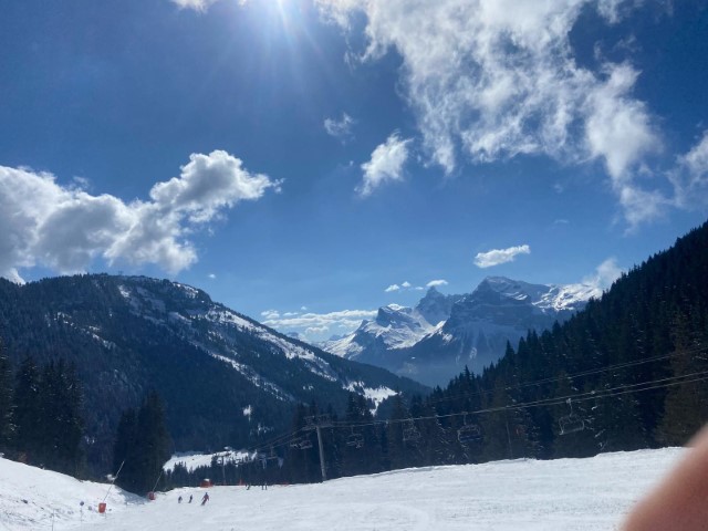 IMG-20250320-WA0026 IMG-20250320-WA0026