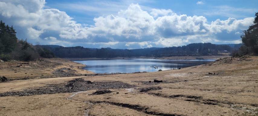 20250312_113508 20250312_113508