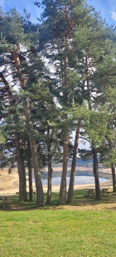 20250312_151133 20250312_151133