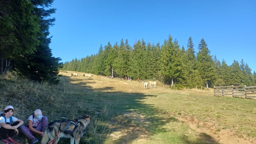 1000040852 1000040852