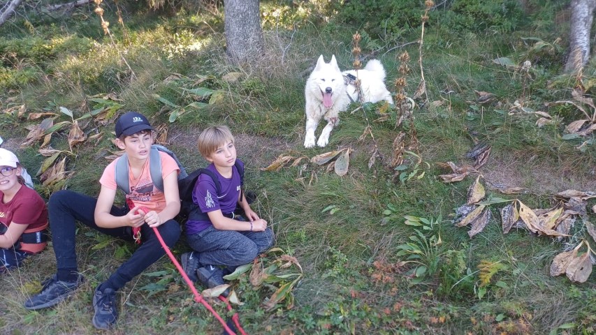 1000040853 1000040853