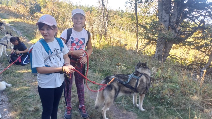 1000040858 1000040858