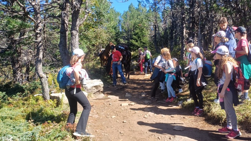 1000040859 1000040859