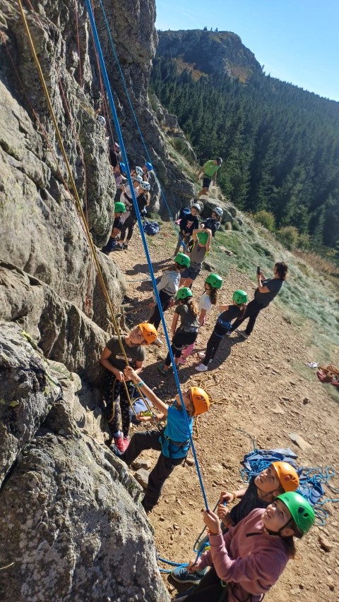 1000040860 1000040860