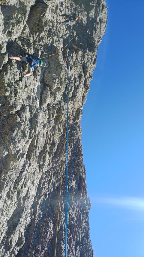 1000040861 1000040861