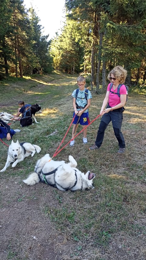 1000040862 1000040862