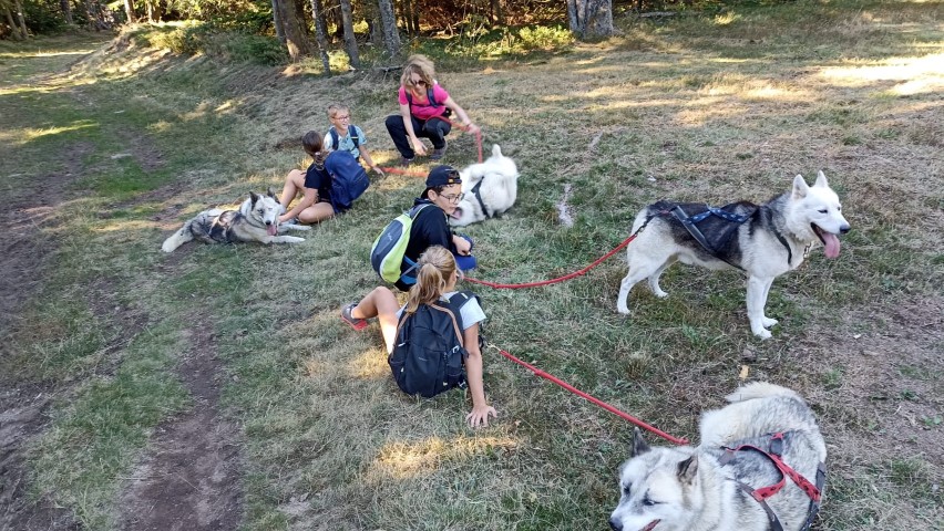 1000040863 1000040863