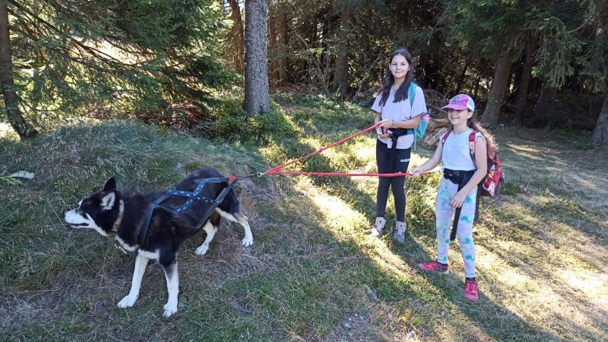 1000040864 1000040864