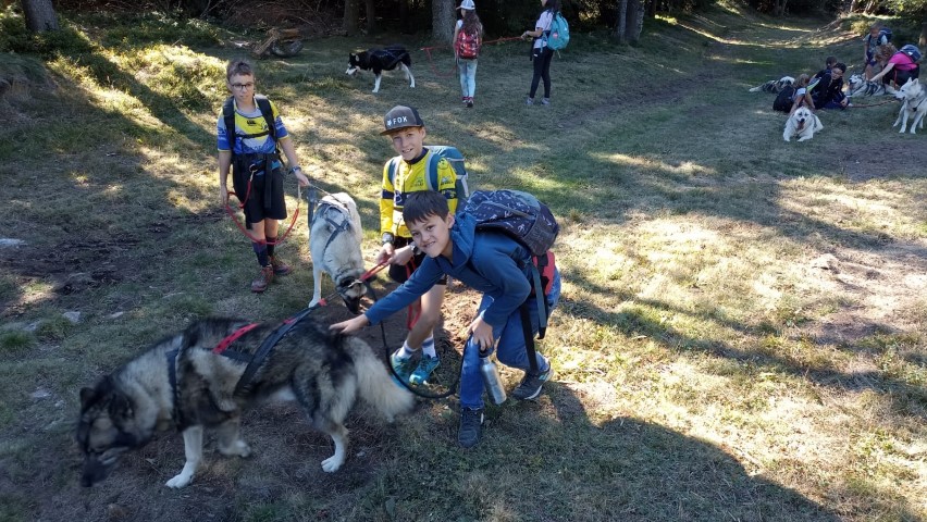 1000040865 1000040865